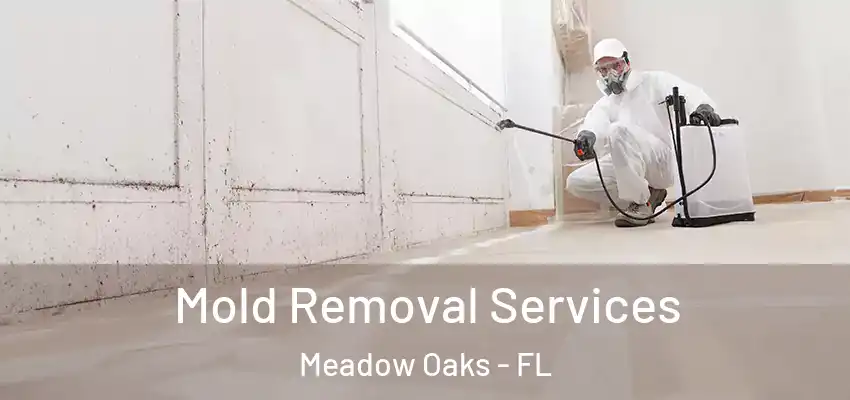  Mold Removal Services Meadow Oaks - FL