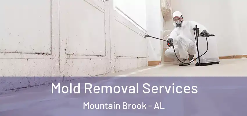  Mold Removal Services Mountain Brook - AL