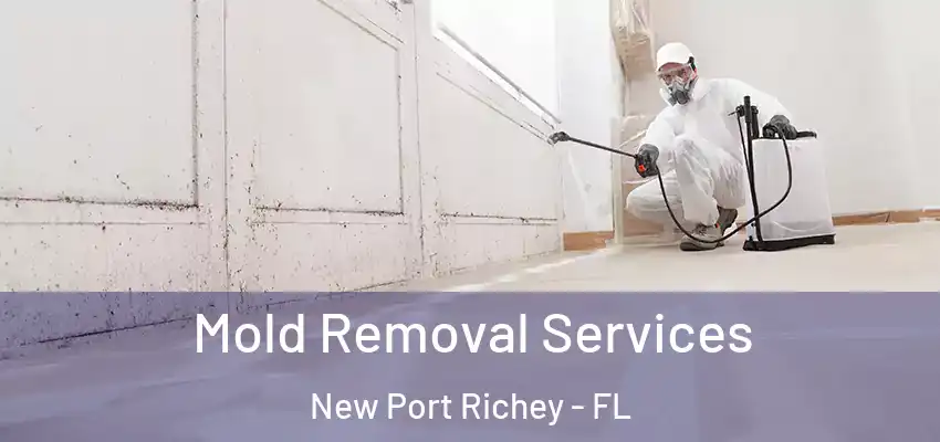  Mold Removal Services New Port Richey - FL
