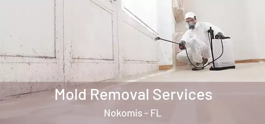  Mold Removal Services Nokomis - FL