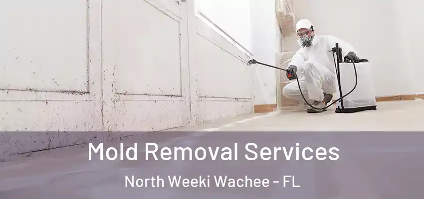  Mold Removal Services North Weeki Wachee - FL