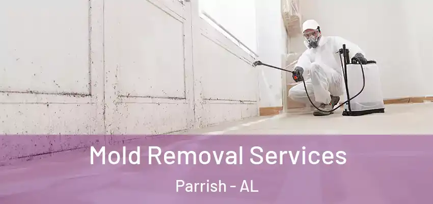  Mold Removal Services Parrish - AL