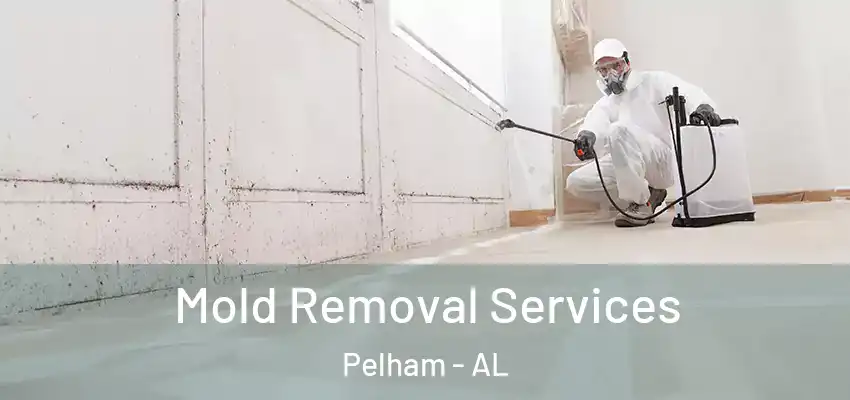  Mold Removal Services Pelham - AL