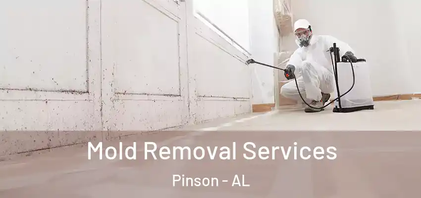  Mold Removal Services Pinson - AL