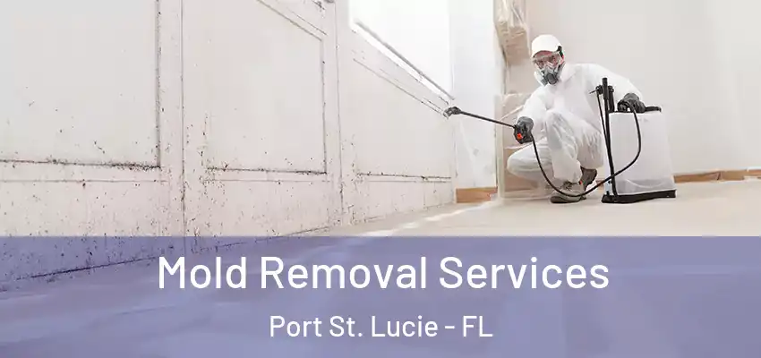  Mold Removal Services Port St. Lucie - FL