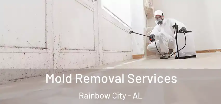 Mold Removal Services Rainbow City - AL