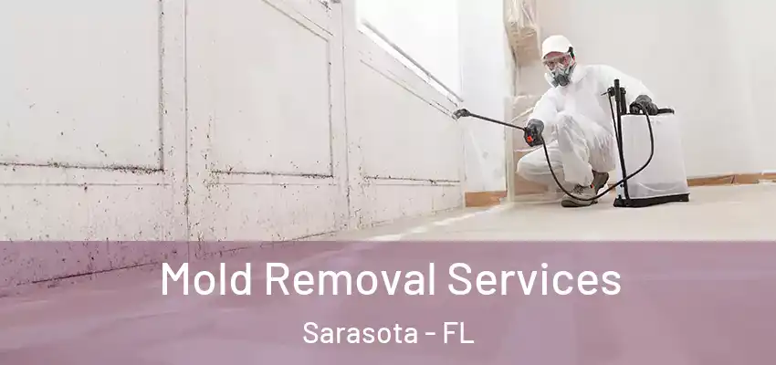  Mold Removal Services Sarasota - FL