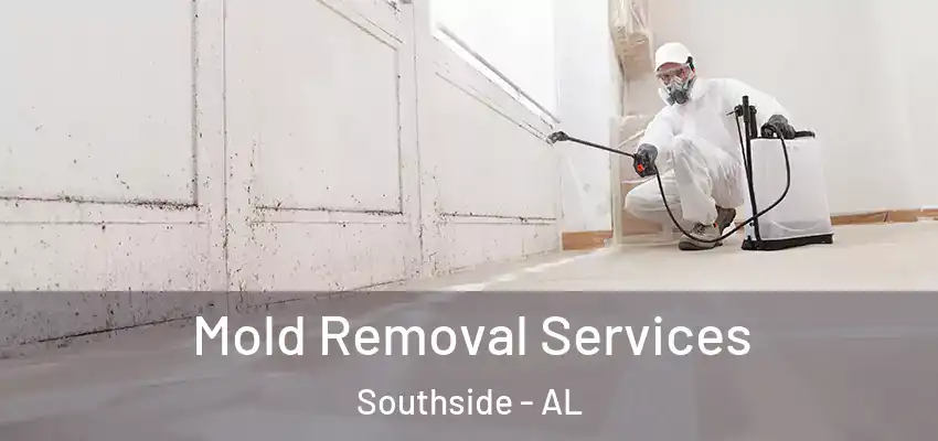  Mold Removal Services Southside - AL