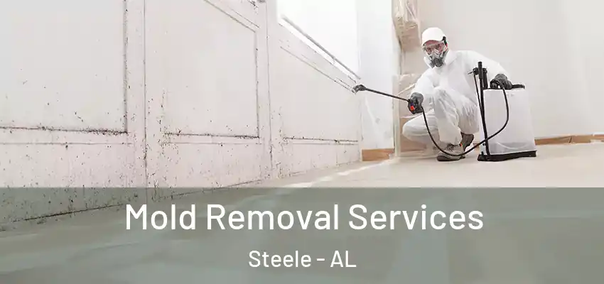 Mold Removal Services Steele - AL
