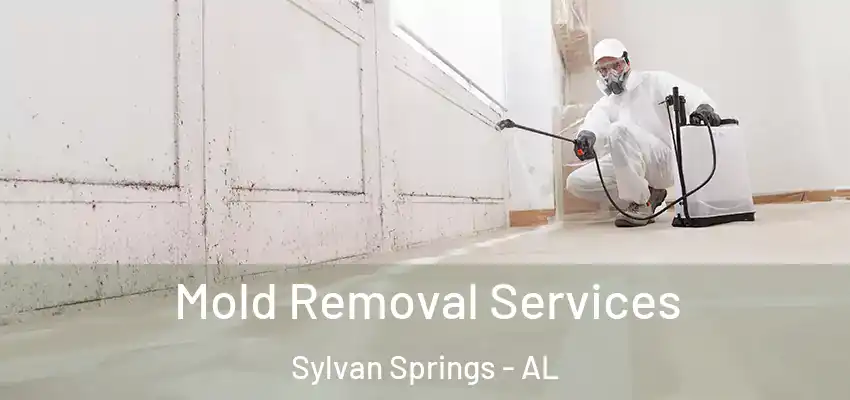  Mold Removal Services Sylvan Springs - AL