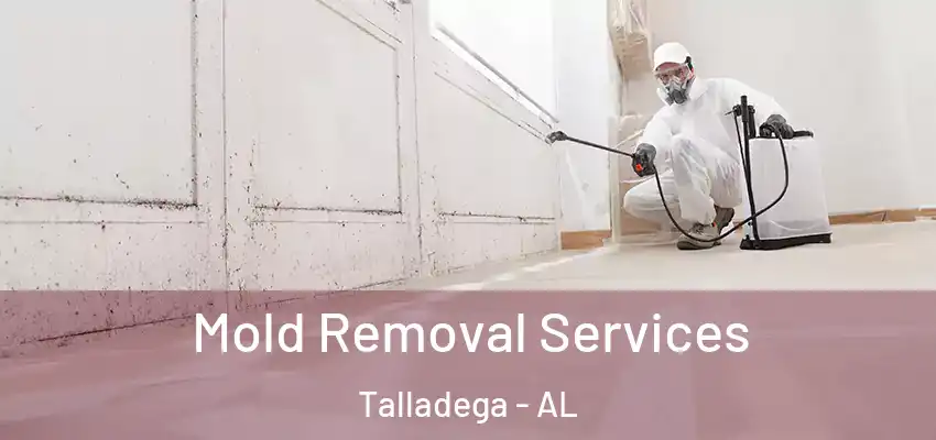  Mold Removal Services Talladega - AL