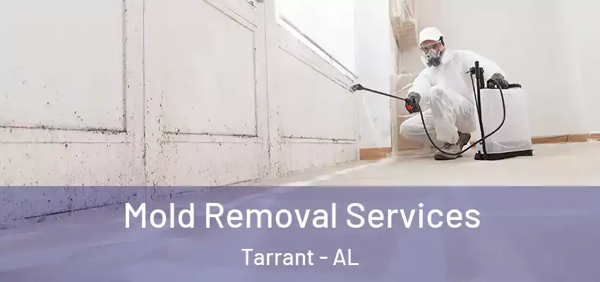  Mold Removal Services Tarrant - AL