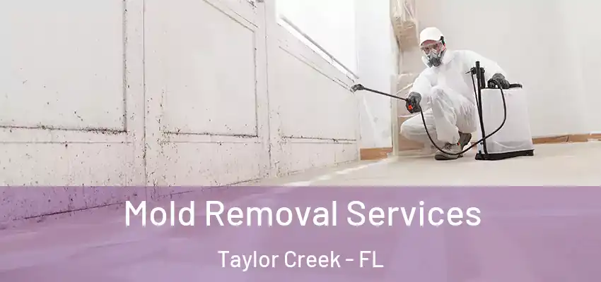  Mold Removal Services Taylor Creek - FL