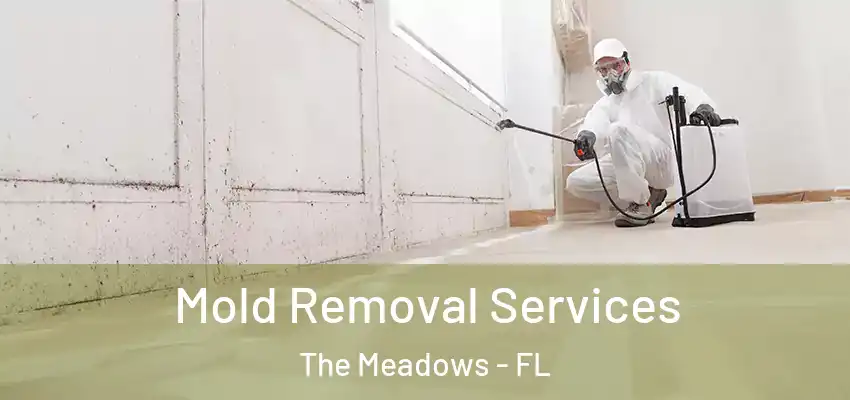  Mold Removal Services The Meadows - FL