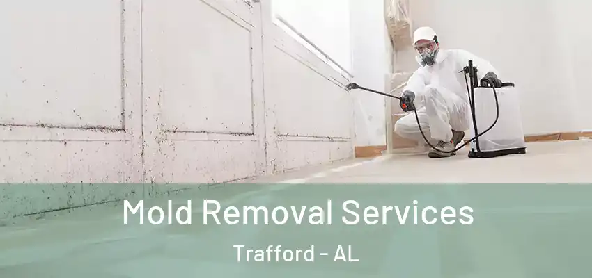 Mold Removal Services Trafford - AL