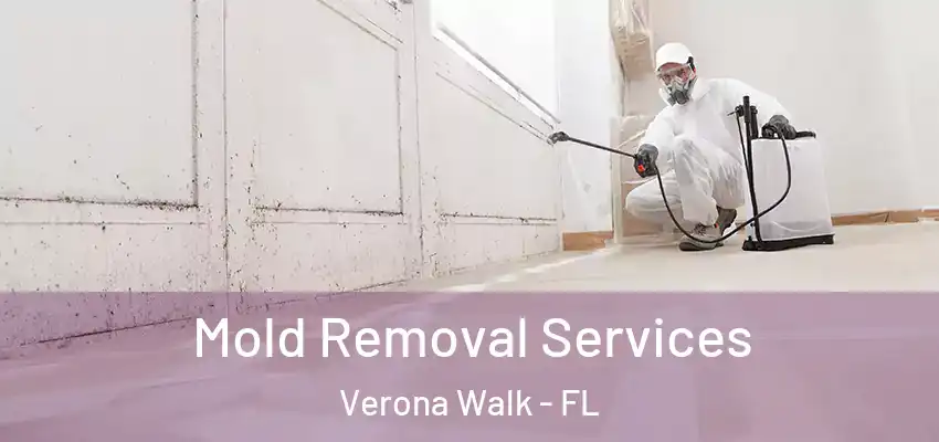  Mold Removal Services Verona Walk - FL