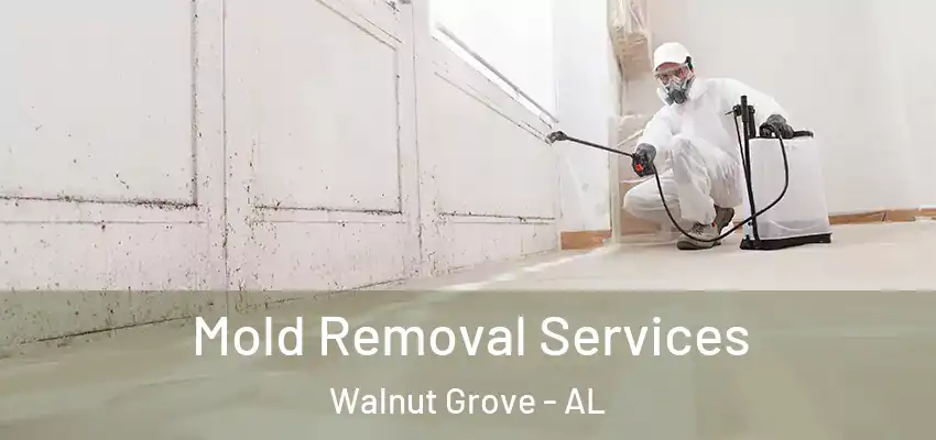  Mold Removal Services Walnut Grove - AL