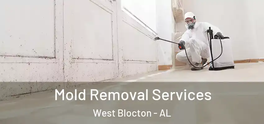  Mold Removal Services West Blocton - AL