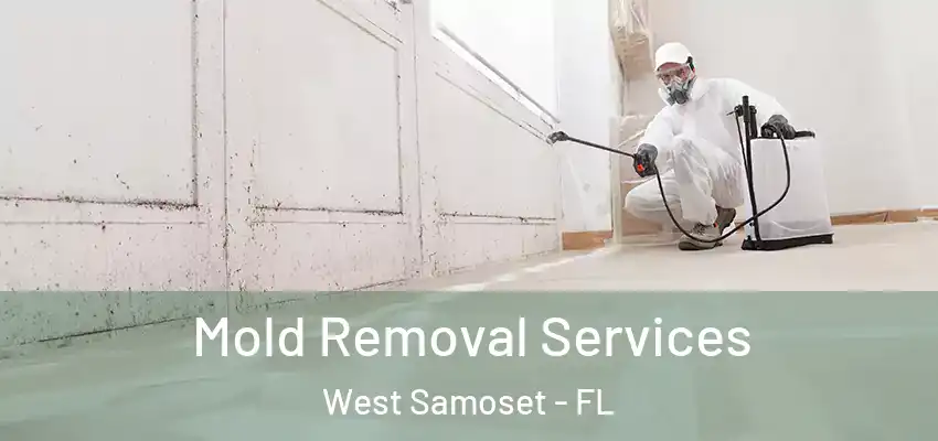  Mold Removal Services West Samoset - FL