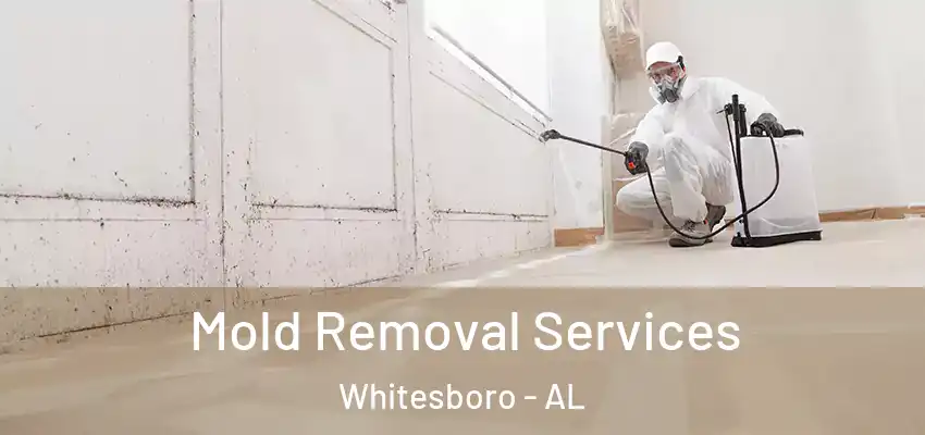  Mold Removal Services Whitesboro - AL