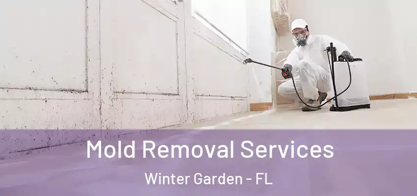  Mold Removal Services Winter Garden - FL