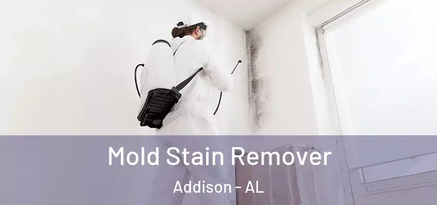 Mold Stain Remover Addison - AL