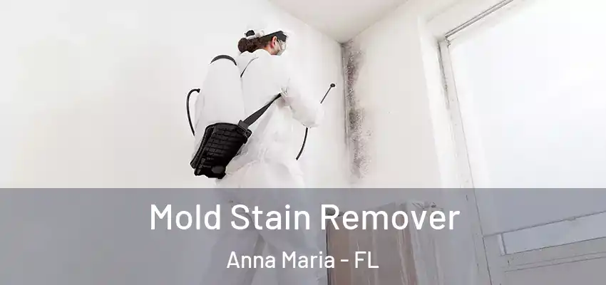 Mold Stain Remover Anna Maria - FL
