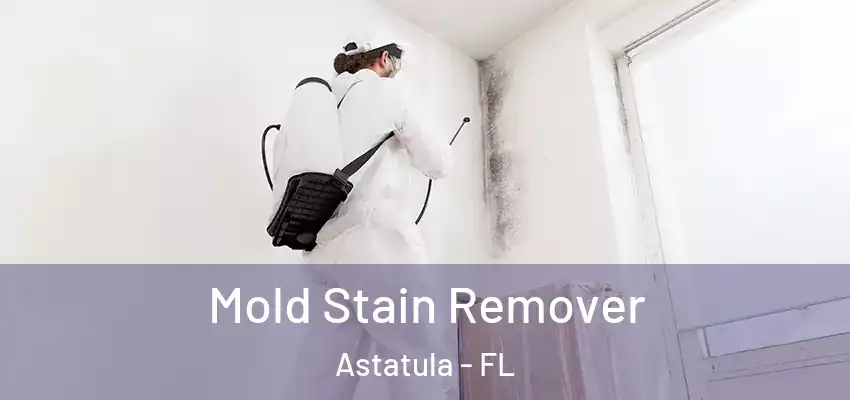  Mold Stain Remover Astatula - FL