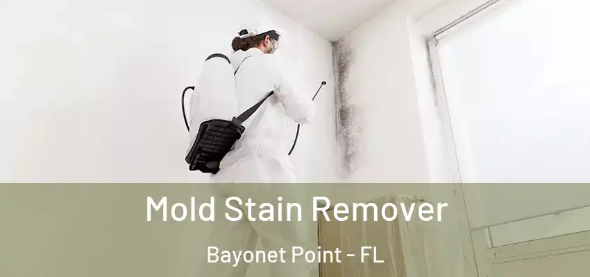  Mold Stain Remover Bayonet Point - FL