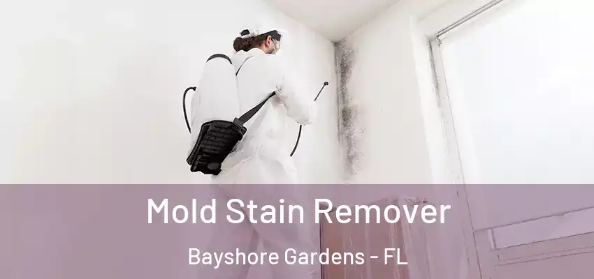 Mold Stain Remover Bayshore Gardens - FL