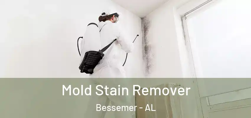 Mold Stain Remover Bessemer - AL