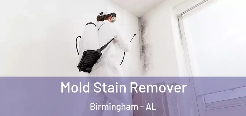  Mold Stain Remover Birmingham - AL