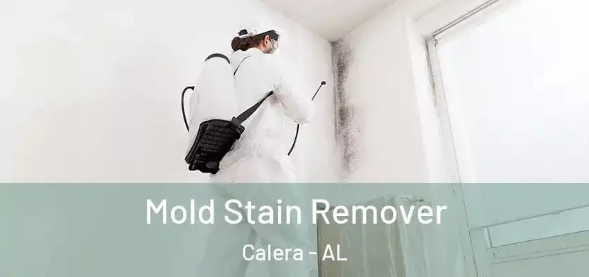  Mold Stain Remover Calera - AL