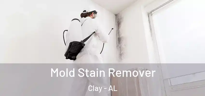  Mold Stain Remover Clay - AL
