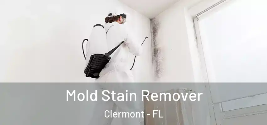  Mold Stain Remover Clermont - FL