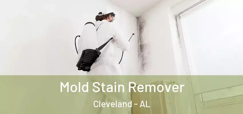 Mold Stain Remover Cleveland - AL