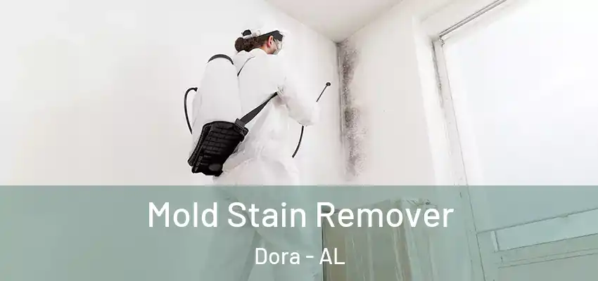 Mold Stain Remover Dora - AL