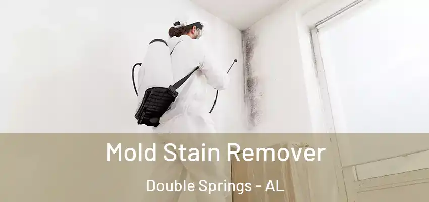  Mold Stain Remover Double Springs - AL