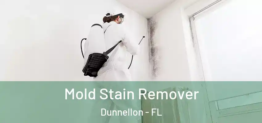  Mold Stain Remover Dunnellon - FL