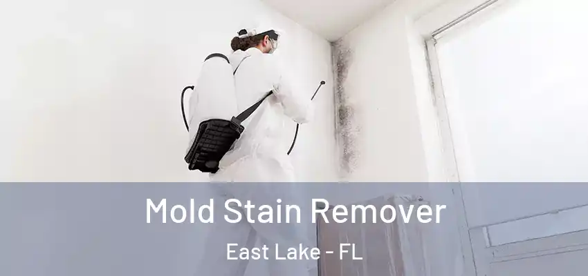  Mold Stain Remover East Lake - FL