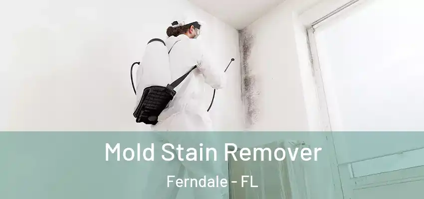  Mold Stain Remover Ferndale - FL