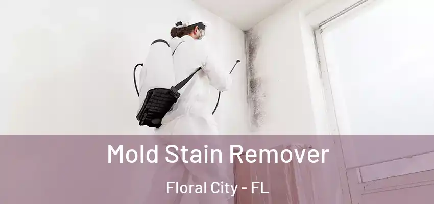Mold Stain Remover Floral City - FL