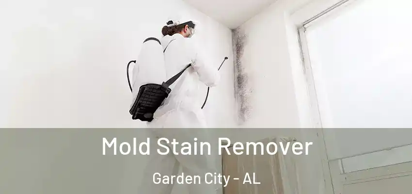 Mold Stain Remover Garden City - AL
