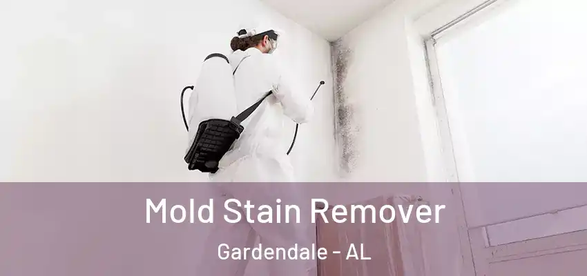  Mold Stain Remover Gardendale - AL