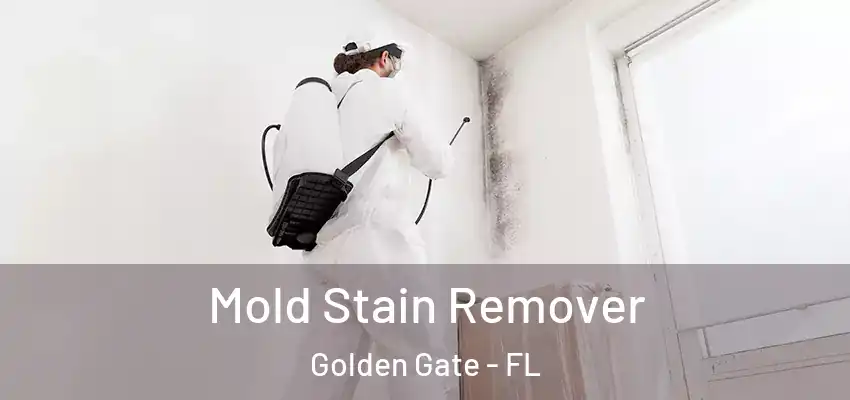  Mold Stain Remover Golden Gate - FL