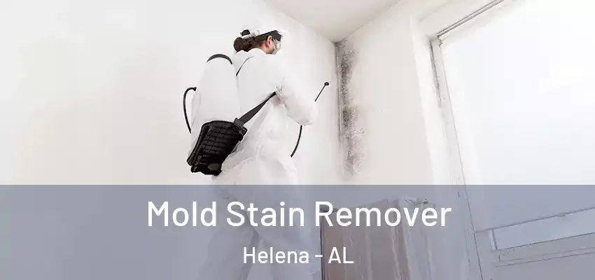  Mold Stain Remover Helena - AL