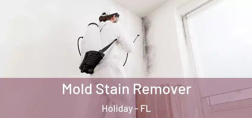  Mold Stain Remover Holiday - FL