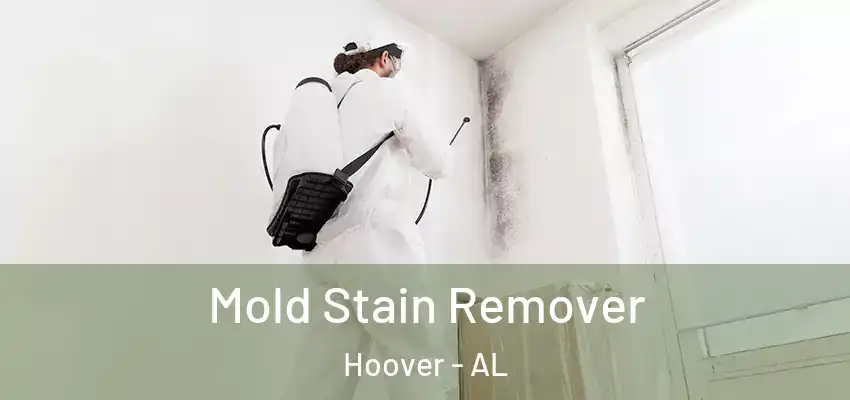  Mold Stain Remover Hoover - AL