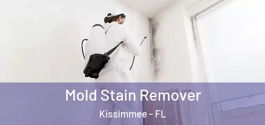  Mold Stain Remover Kissimmee - FL
