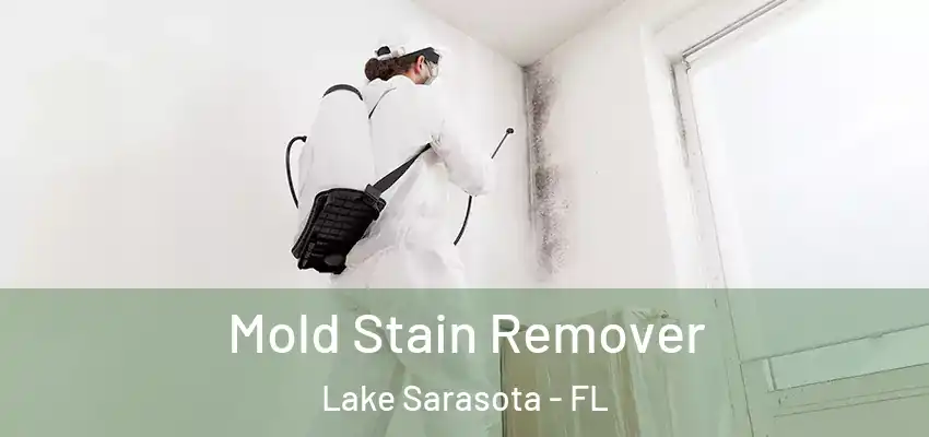  Mold Stain Remover Lake Sarasota - FL
